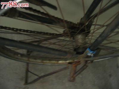 大金鹿自行車 800元零售價背后的收藏與實用價值